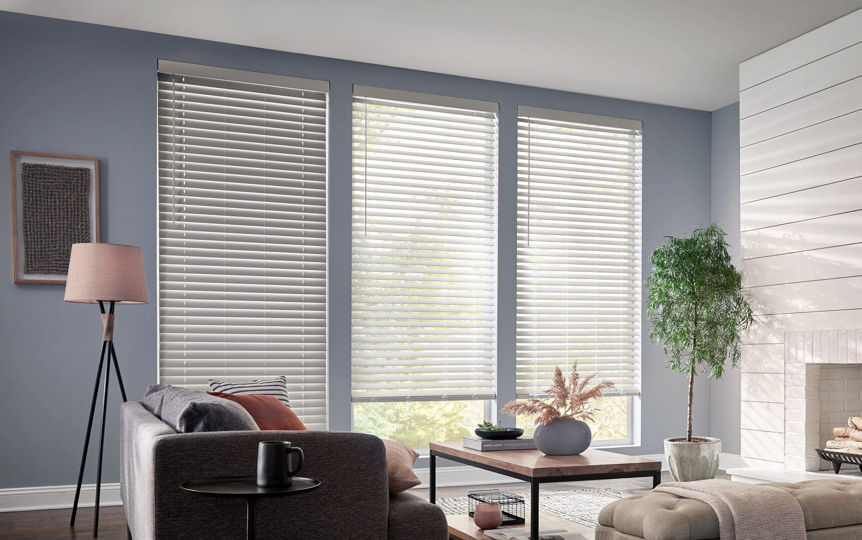 Comfortex Window Shades_Faux Wood Blinds_FW_LIV_02_CL_WAND_SoftSecret_1
